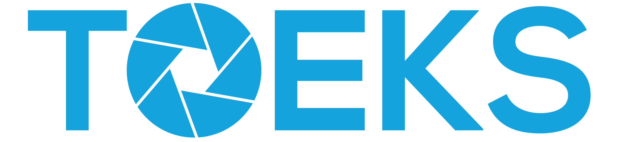 toeks logo